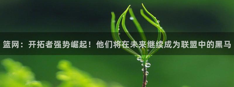 篮网：开拓者强势崛起！他们将在未来继续成为联盟中的黑马