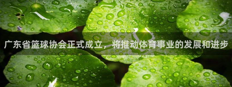 广东省篮球协会正式成立，将推动体育事业的发展和进步