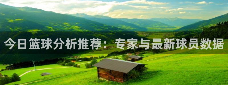 今日篮球分析推荐：专家与最新球员数据