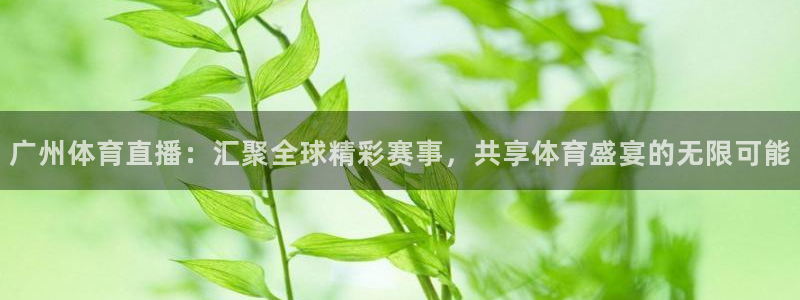 广州体育直播：汇聚全球精彩赛事，共享体育盛宴的无限可能
