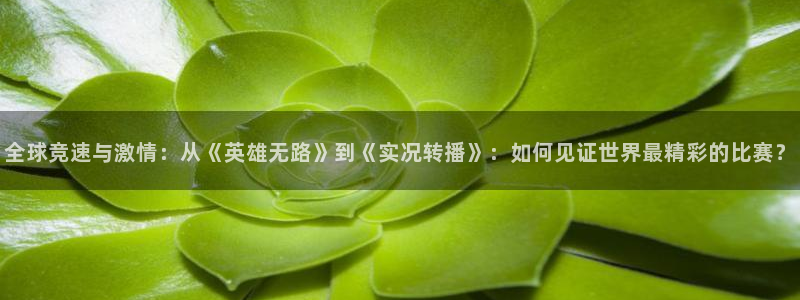 全球竞速与激情：从《英雄无路》到《实况转播》：如何见证世界最精彩的比赛？