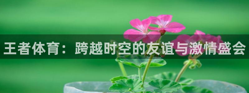 王者体育：跨越时空的友谊与激情盛会