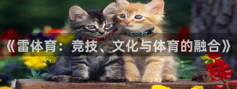《雷体育：竞技、文化与体育的融合》