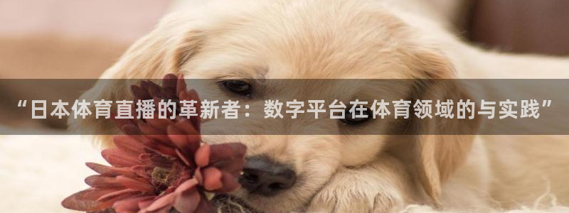 “日本体育直播的革新者：数字平台在体育领域的与实践”