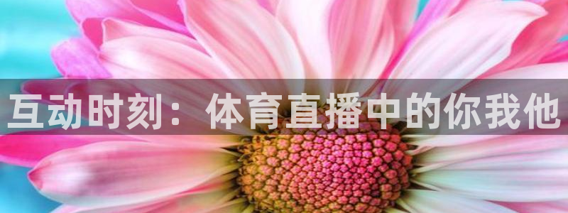 互动时刻：体育直播中的你我他