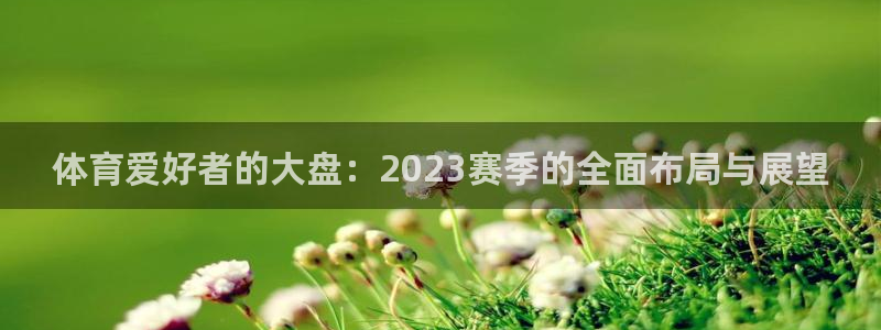 体育爱好者的大盘：2023赛季的全面布局与展望