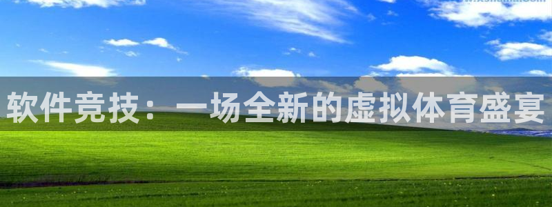 软件竞技：一场全新的虚拟体育盛宴