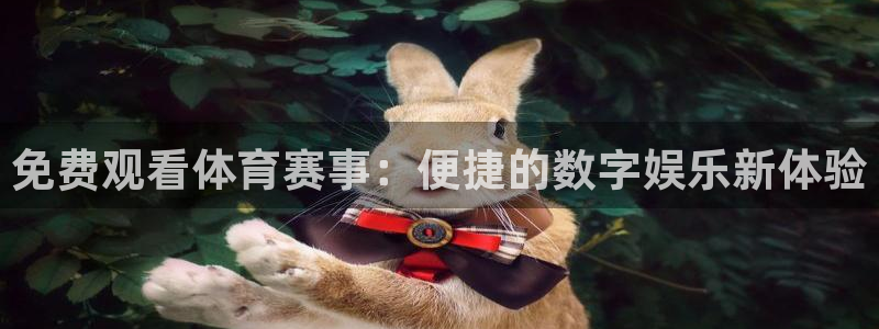 免费观看体育赛事：便捷的数字娱乐新体验