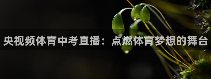 央视频体育中考直播：点燃体育梦想的舞台