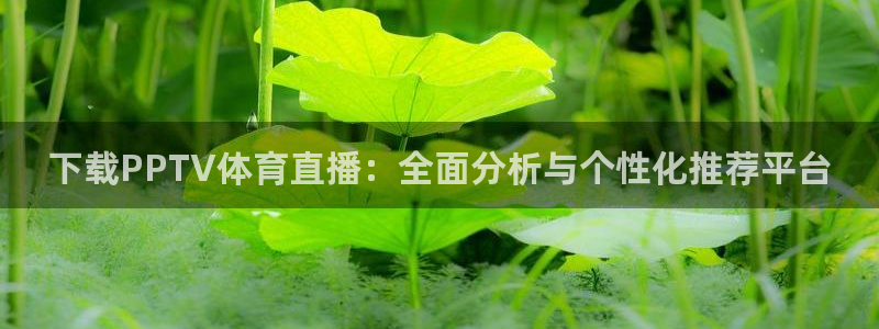 下载PPTV体育直播：全面分析与个性化推荐平台