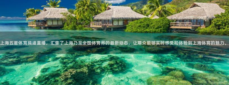 上海五星体育频道直播，汇集了上海乃至全国体育界的最新动态，让观众能够实时感受和体验到上海体育的魅力。