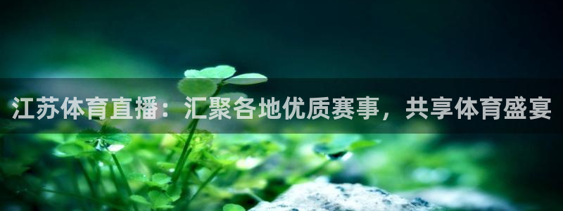 江苏体育直播：汇聚各地优质赛事，共享体育盛宴