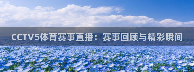 CCTV5体育赛事直播：赛事回顾与精彩瞬间