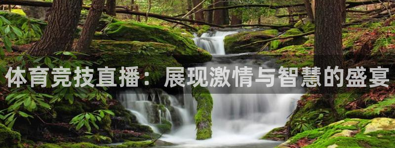 体育竞技直播：展现激情与智慧的盛宴