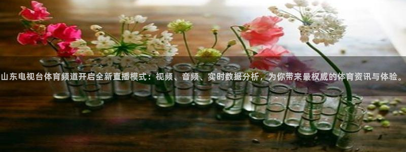 山东电视台体育频道开启全新直播模式：视频、音频、实时数据分析，为你带来最权威的体育资讯与体验。