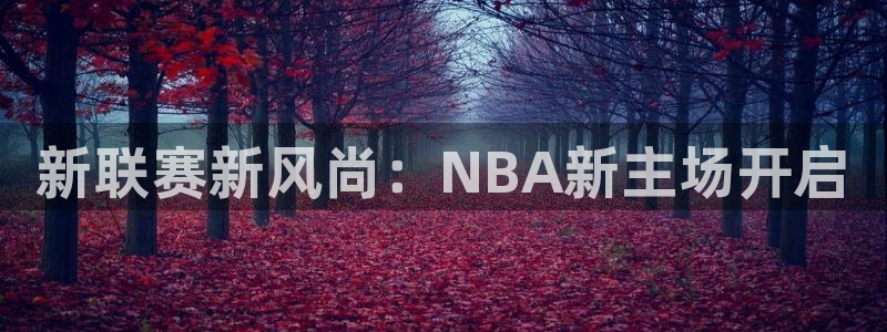 新联赛新风尚：NBA新主场开启