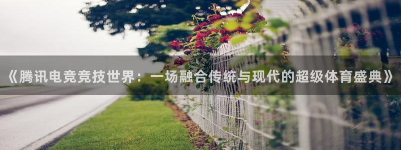 《腾讯电竞竞技世界：一场融合传统与现代的超级体育盛典》