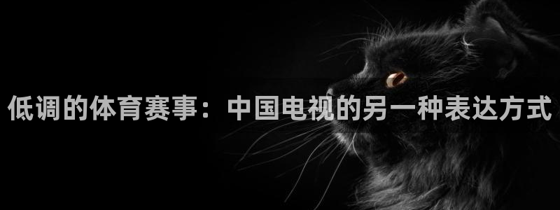 低调的体育赛事：中国电视的另一种表达方式