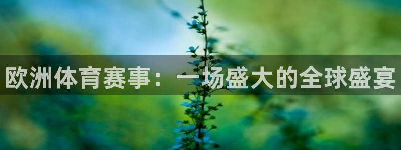 欧洲体育赛事：一场盛大的全球盛宴
