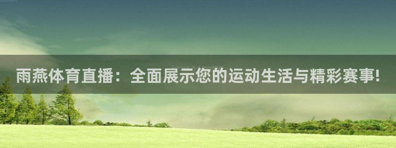 雨燕体育直播：全面展示您的运动生活与精彩赛事!