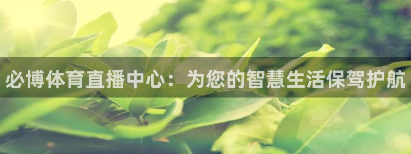 必博体育直播中心：为您的智慧生活保驾护航