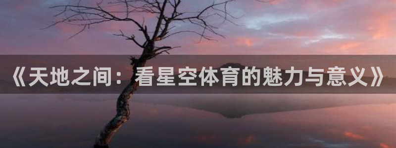 《天地之间：看星空体育的魅力与意义》