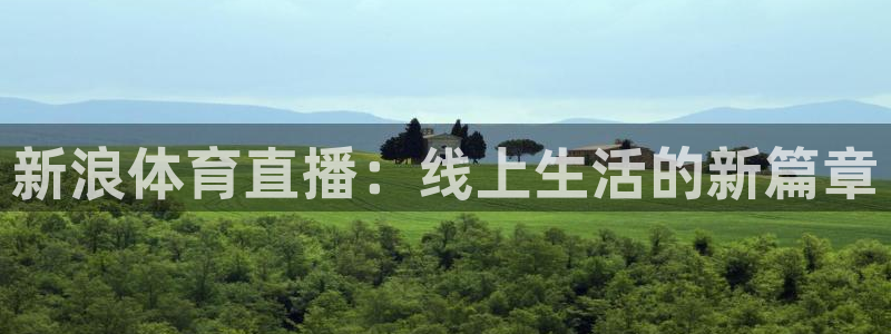 新浪体育直播：线上生活的新篇章