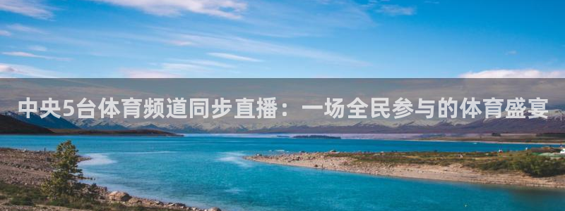 中央5台体育频道同步直播：一场全民参与的体育盛宴