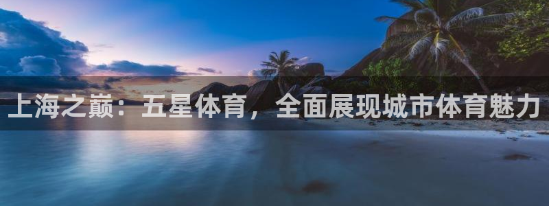 上海之巅：五星体育，全面展现城市体育魅力