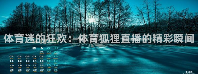 体育迷的狂欢：体育狐狸直播的精彩瞬间