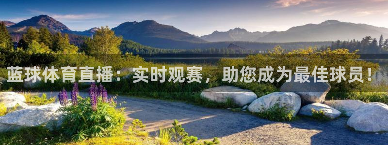 蓝球体育直播：实时观赛，助您成为最佳球员！