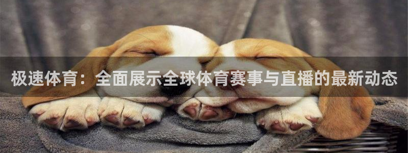 极速体育：全面展示全球体育赛事与直播的最新动态
