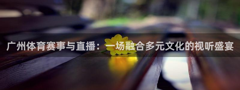 广州体育赛事与直播：一场融合多元文化的视听盛宴