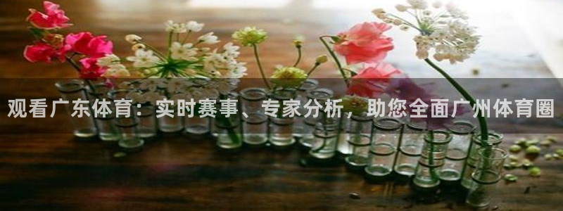 观看广东体育：实时赛事、专家分析，助您全面广州体育圈
